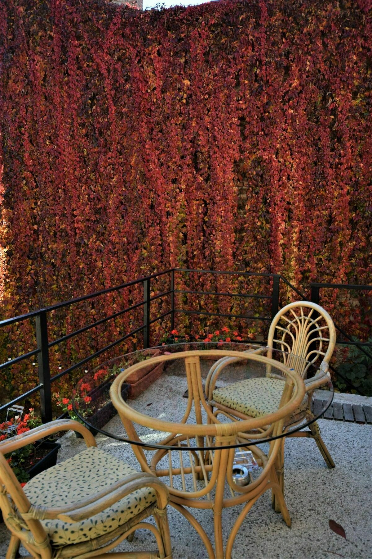 Bed and Breakfast Goldsmith Sibiu Exterior foto